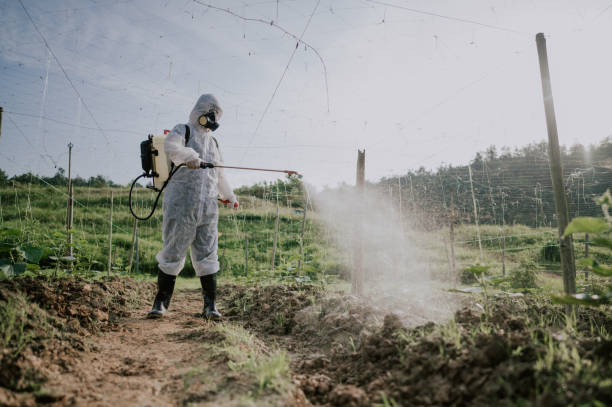 Best Local Pest Control Services  in Midlothian, VA