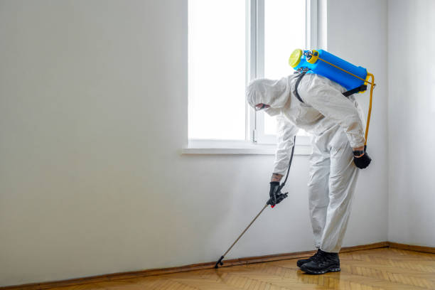 Best Rat Extermination Near Me  in Midlothian, VA