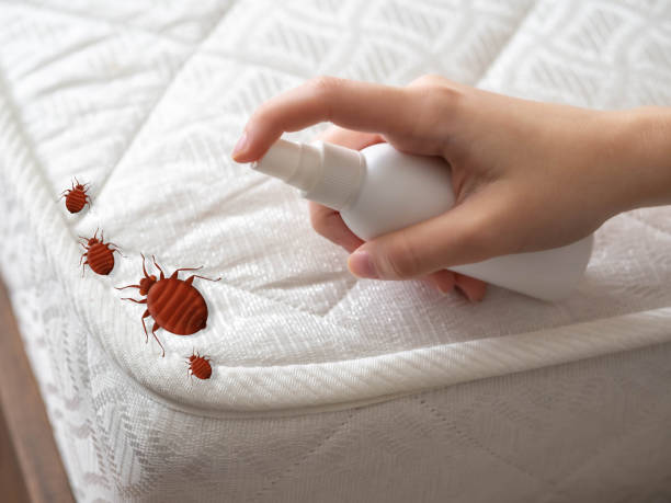 Best Pest Removal Services  in Midlothian, VA