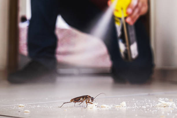 Best Cockroach Control Services  in Midlothian, VA