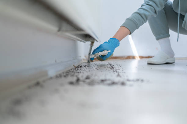 Best Pest Control Near Me  in Midlothian, VA